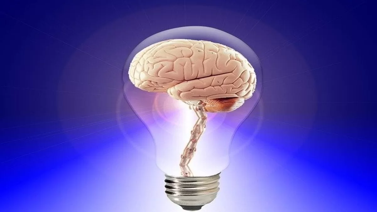 Unlock Your Brain's Potential: 5 Effective Ways to Improve Memory Power