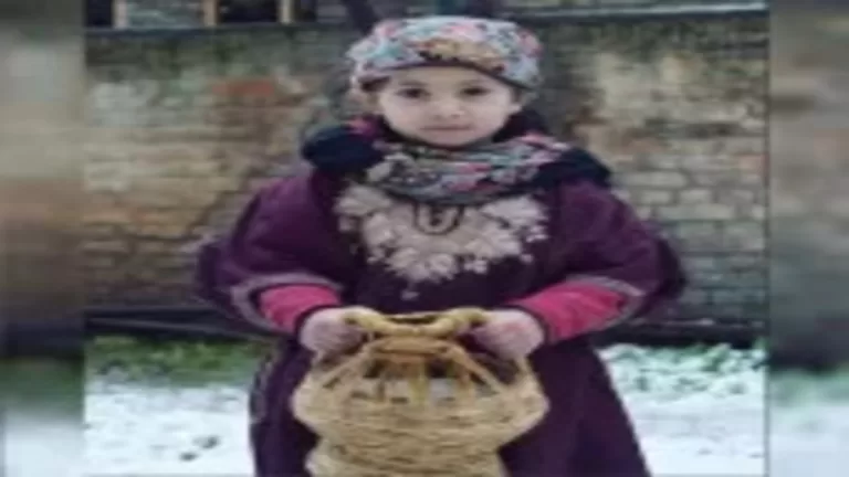 "Discover the Timeless Elegance of the Kashmiri Pheran"