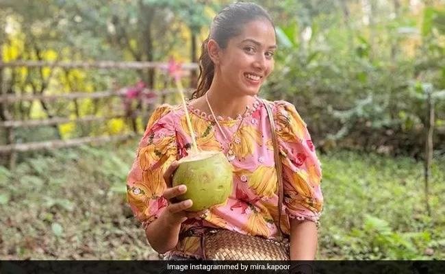 <strong>Mira Rajput's "Goan Escape" Is All About Food, Adventure And More. See Pics</strong>