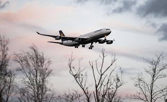 <strong>After Air India's Historic Order, Indian Carriers Planning To Order 1,200 Aircraft: Report</strong>