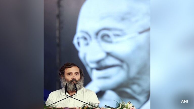 <strong>"Betrayal Of Gandhian Philosophy": US Lawmaker On Rahul Gandhi Row</strong>