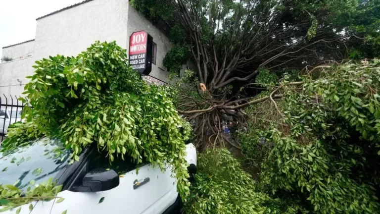 "Double Trouble: Earthquake and Tropical Storm Hit Southern California"