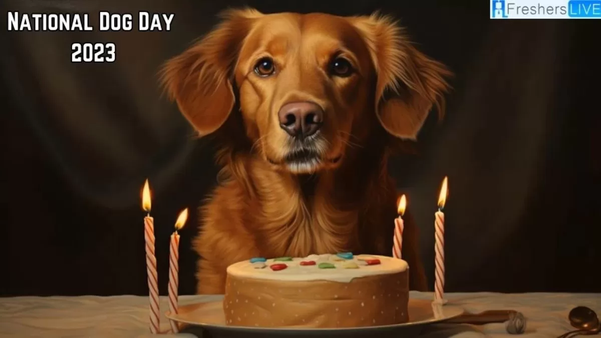 Celebrate National Dog Day: Honoring Our Loyal Companions