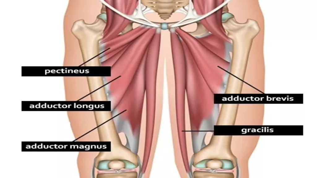 The Hidden Dangers of Prolonged City Traffic: A Personal Tale of Adductor Spasm and Adductor Strain