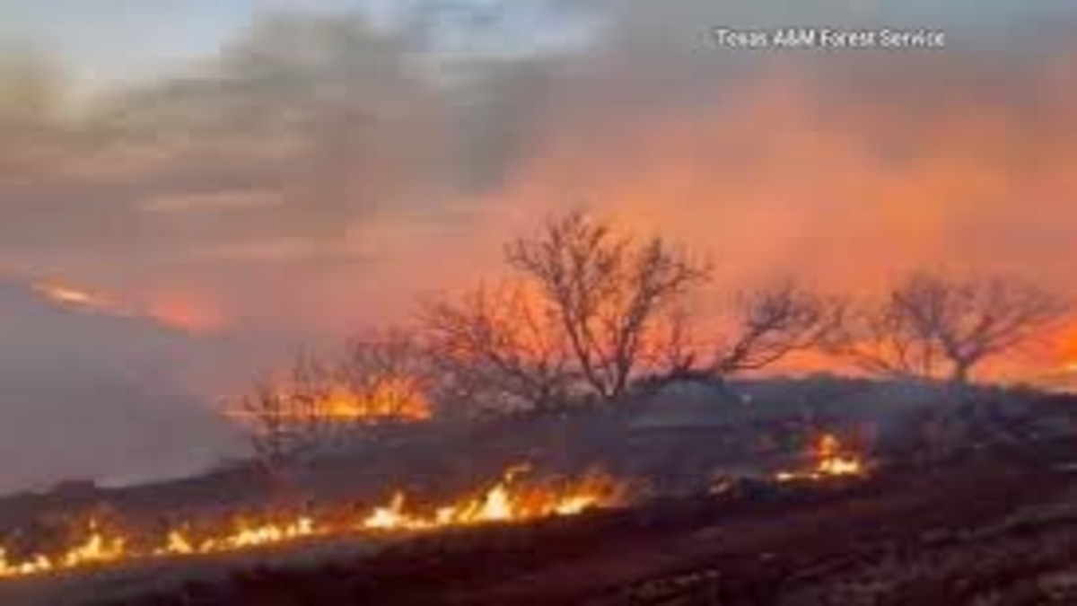 "Devastation Unleashed: Texas Wildfires Ravage Panhandle Region"