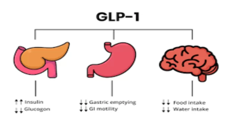 Revolutionizing Weight Loss: Introducing Pemvidutide - The Muscle-Friendly GLP-1 Drug