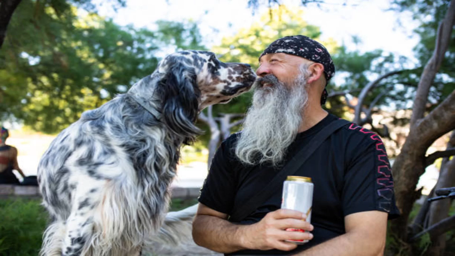 The power of the dog breeds: Detecting PTSD stress levels by smelling humans’ breath