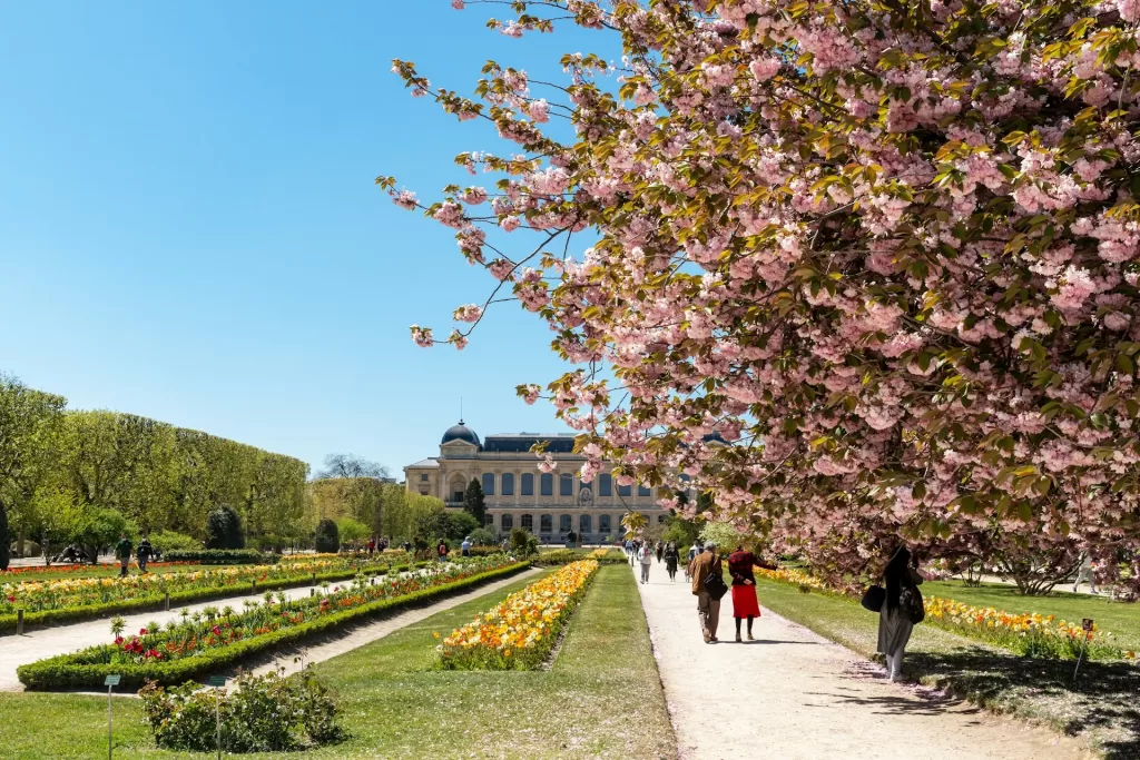 "Discover the 10 Best Places to Visit in France: From Paris to Corsica"