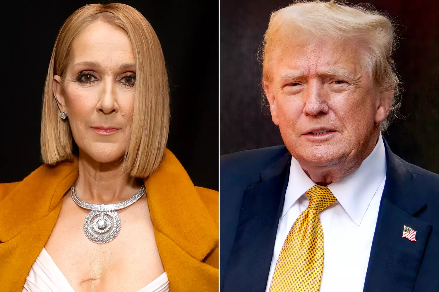 Celine Dion Criticizes Donald Trump for Using 'My Heart Will Go On' at Campaign Rally: "Really, THAT Song?"