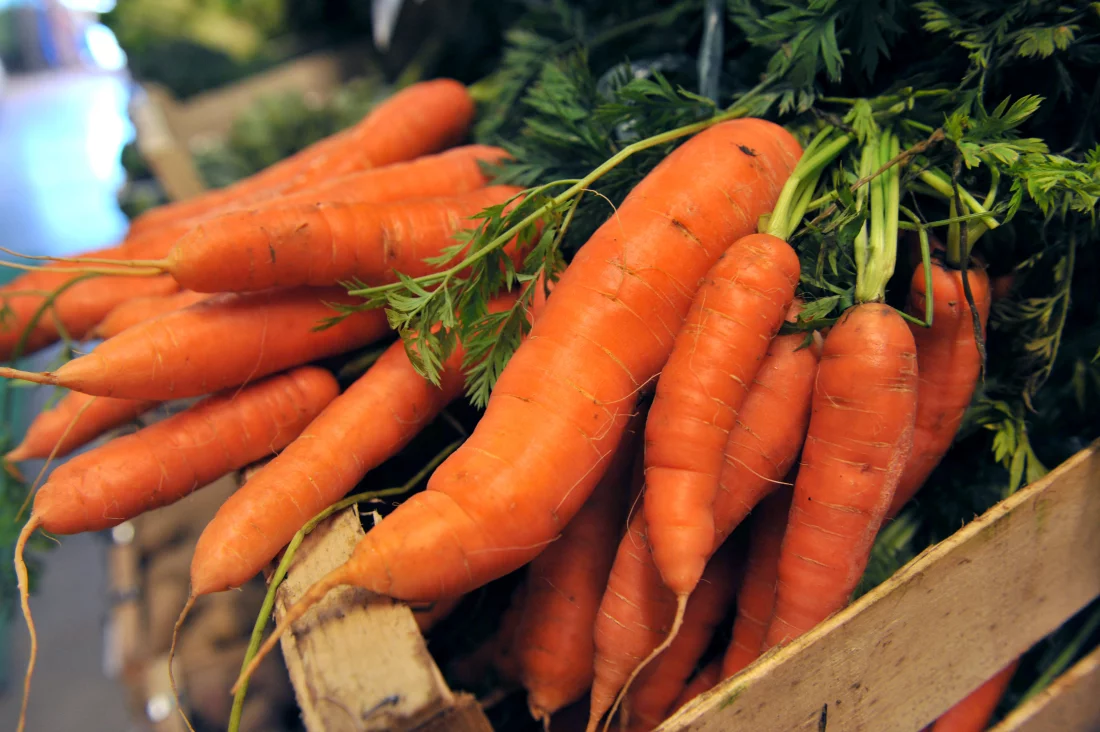 E. coli Outbreak Linked to Organic Carrots: 38 Sick, 1 Dead Across 18 States – Are You at Risk?