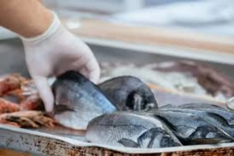 "Sea Bream Lovers Beware: Why Moderation is Key for Your Health!"