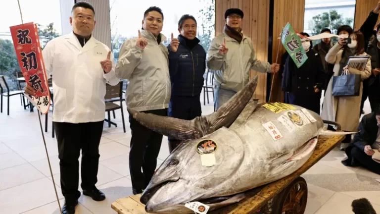 “$1.3M Motorbike-Sized Tuna Sold at Tokyo's Iconic Auction – A Fortune on a Plate!”