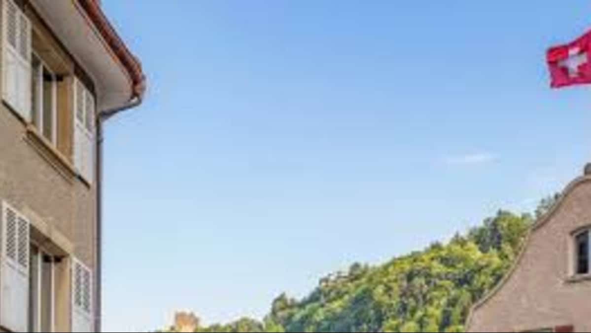 Switzerland Votes on Population Cap: Debate Grows Over Immigration, Economy, and Future Relations with Europe Switzerland Votes on Population Cap: Debate Grows Over Immigration, Economy, and Future Relations with Europe